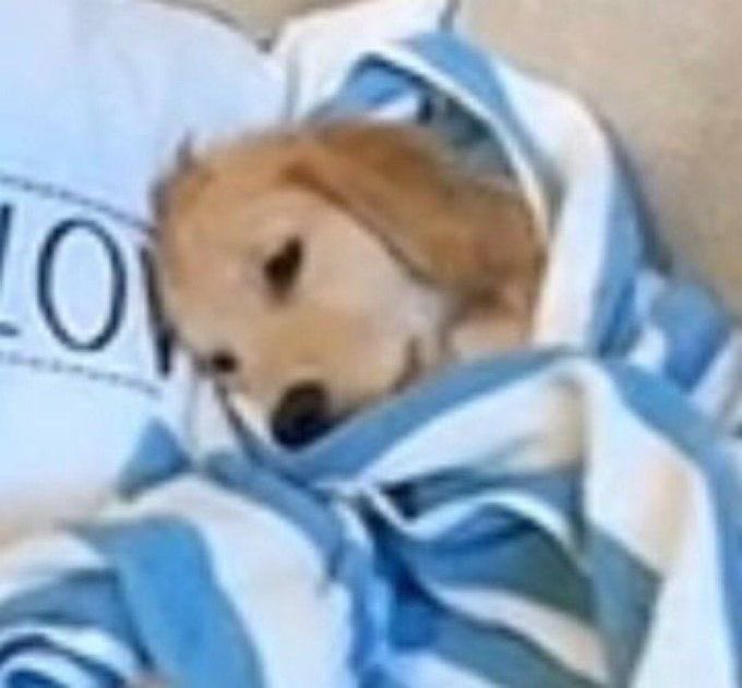 acervojakehoon's tweet image. Gente ele não para de falar do sunghoon durante a live chamando ele de “Sunghoonie” e falando que faz tempo que eles não se veem… eu sabia que ele poderia sentir saudade mas isso simplesmente está me matando! Alguém trás do Sunghoon de volta pro Jake pfvr