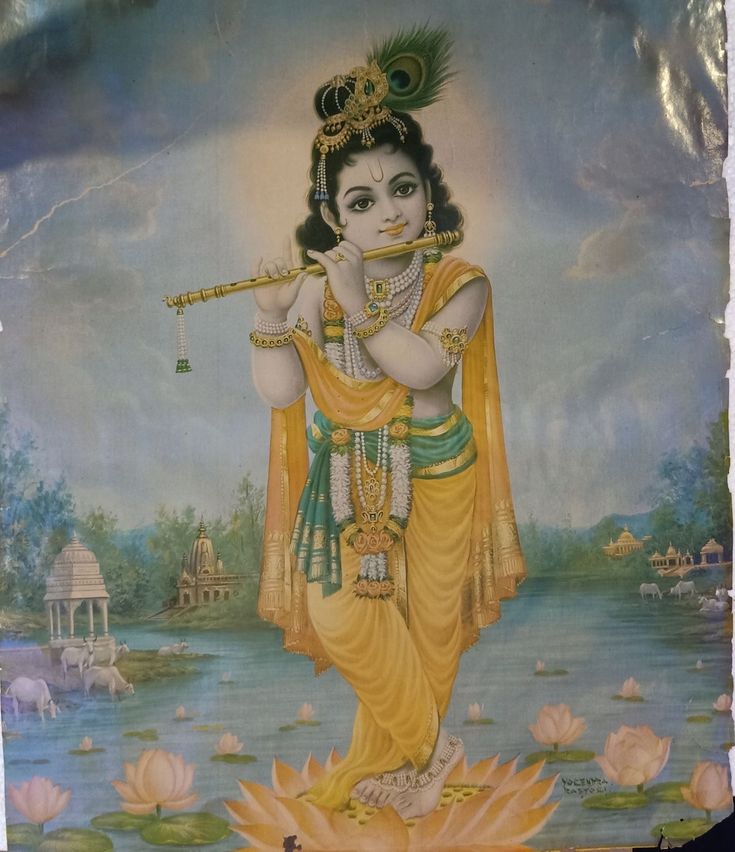 CHAMBAL KESHARI tweet media