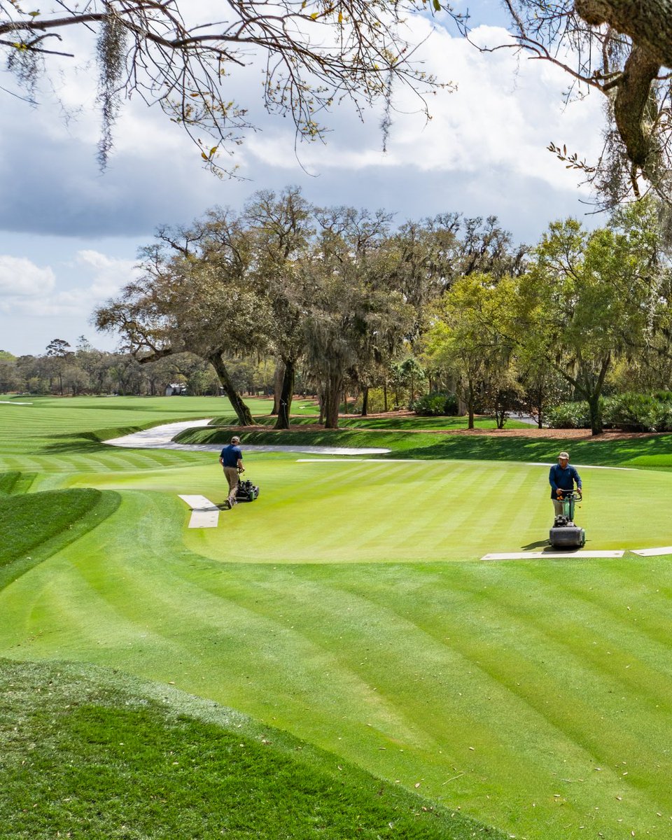 Beard Equipment Golf tweet media