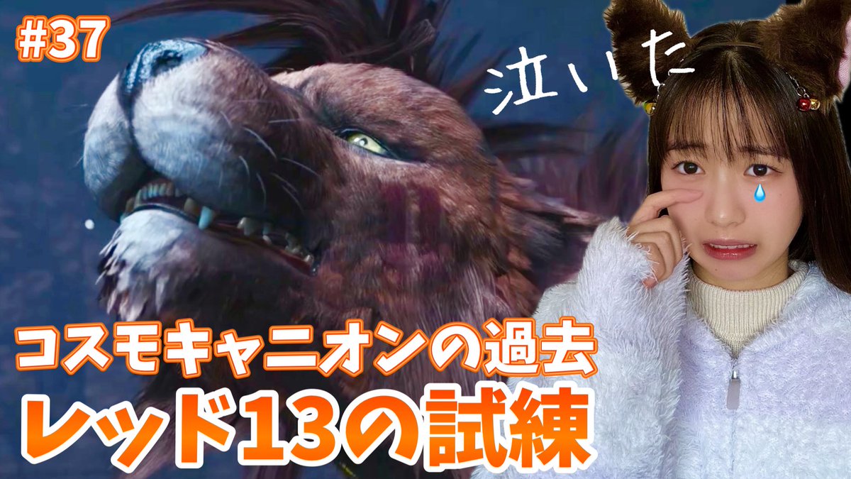 音ネコ。 tweet media