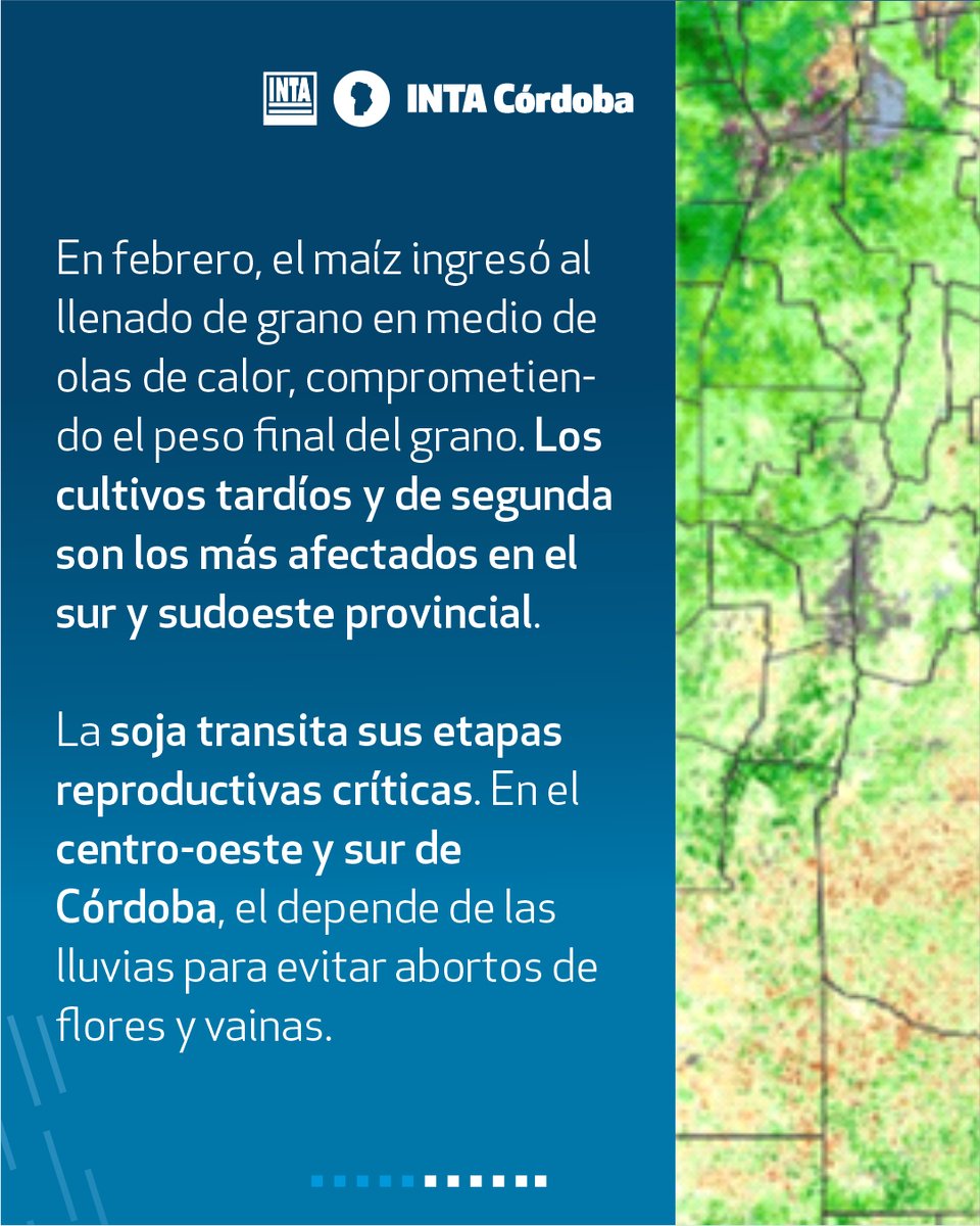 INTA Manfredi tweet media