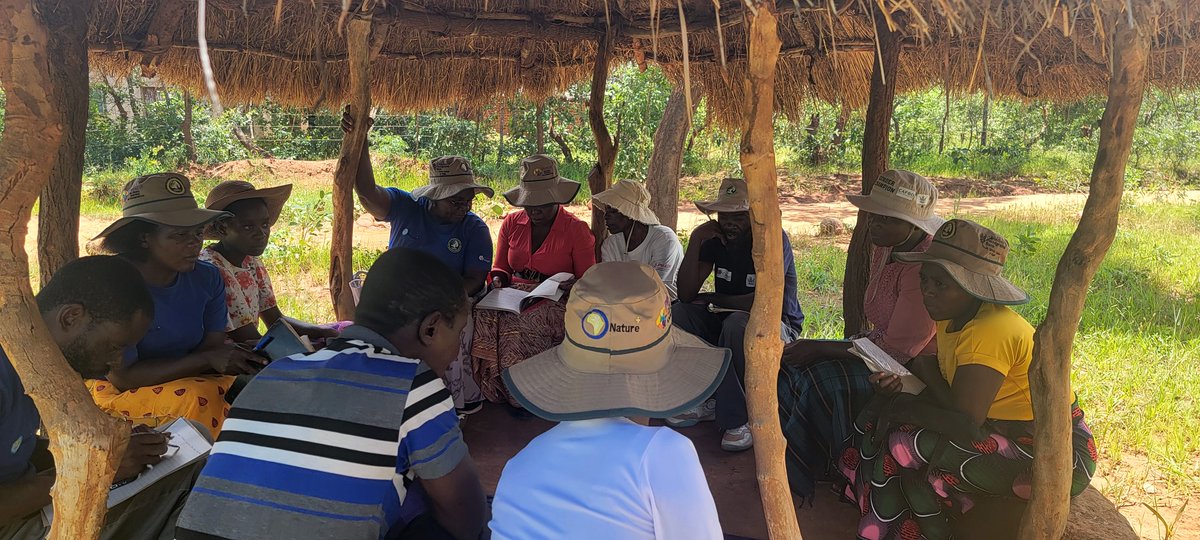 TSURO Trust tweet media