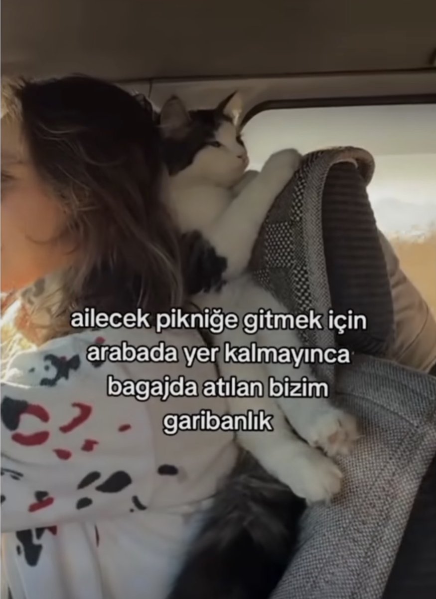 kafayı yedim oturuşa bakınn