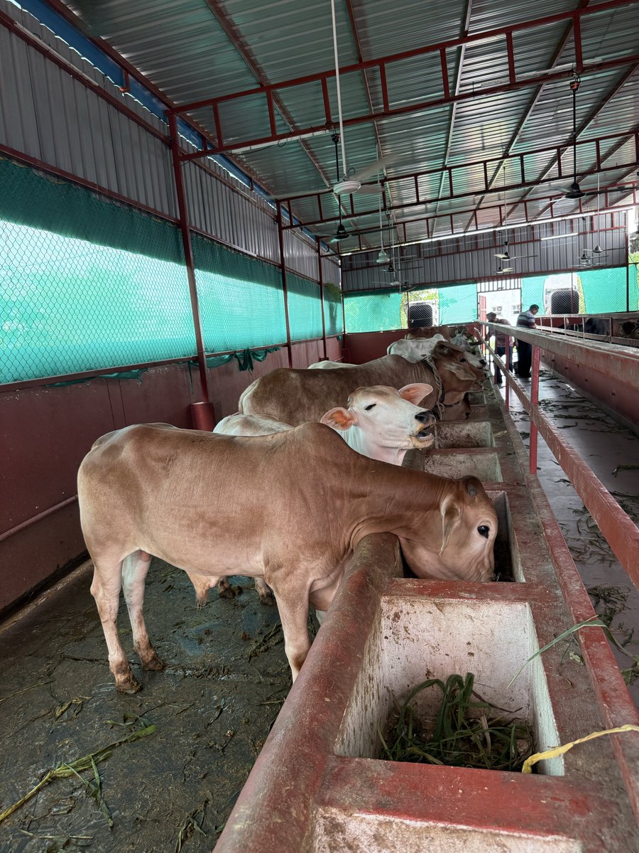 Mittal Foundation tweet media