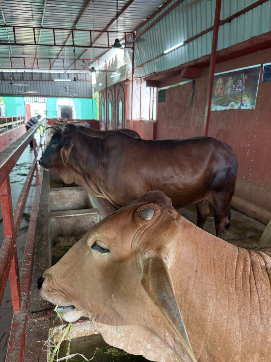 Mittal Foundation tweet media