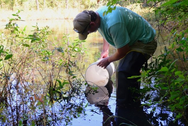 fishwildlife's tweet photo. #conservationatwork Effort aims to bring the rarest freshwater fish species in Maryland back to its native habitats. ๐
via @MarylandDNR
Learn more: https://t.co/QqQ5jfS8wF https://t.co/FVcJNqQUli