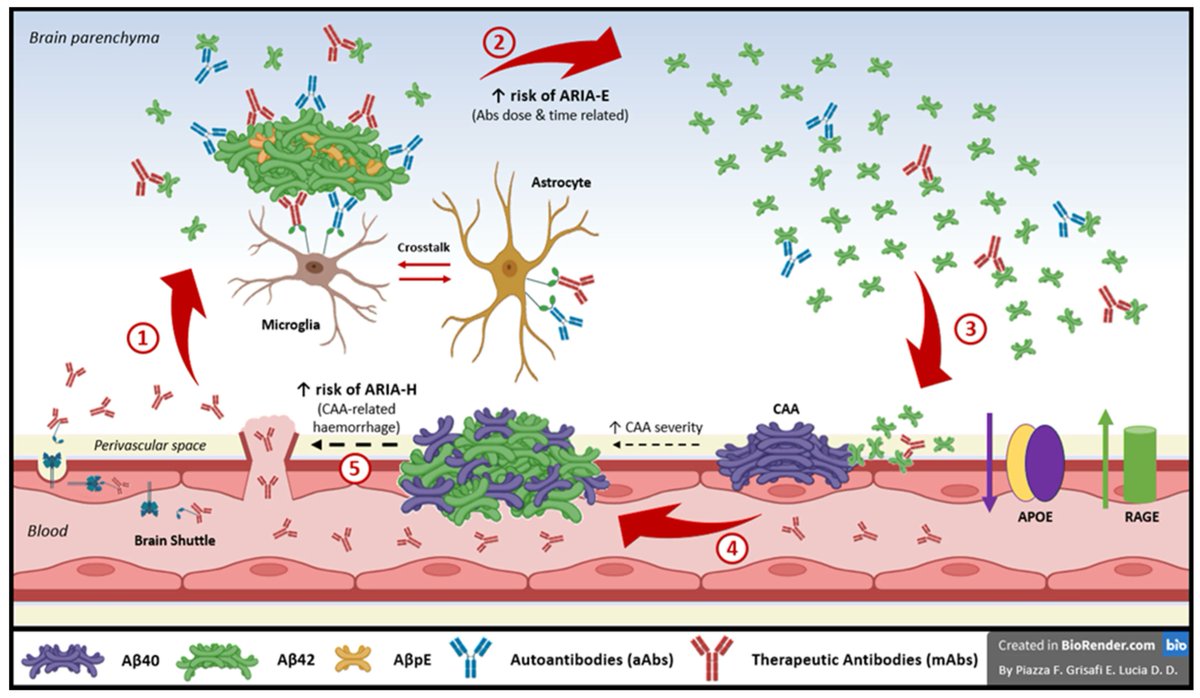 iCAB International tweet media