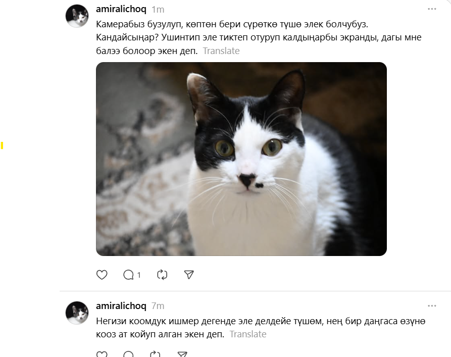 бла kg tweet media