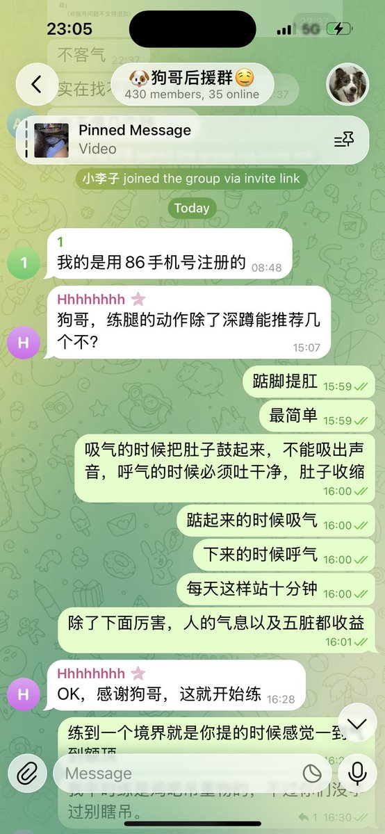 ⭐️【狗哥原创】⭐️ tweet media