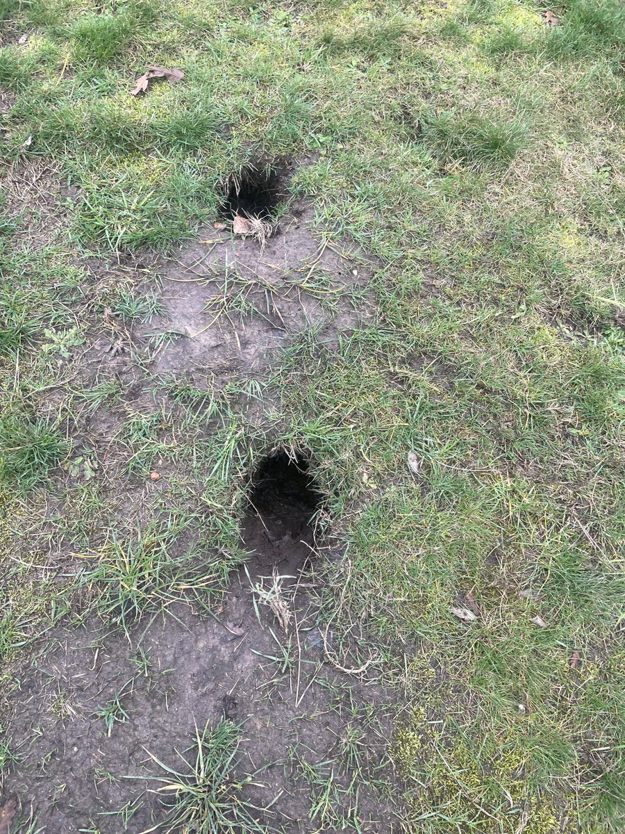 The Booby tweet media