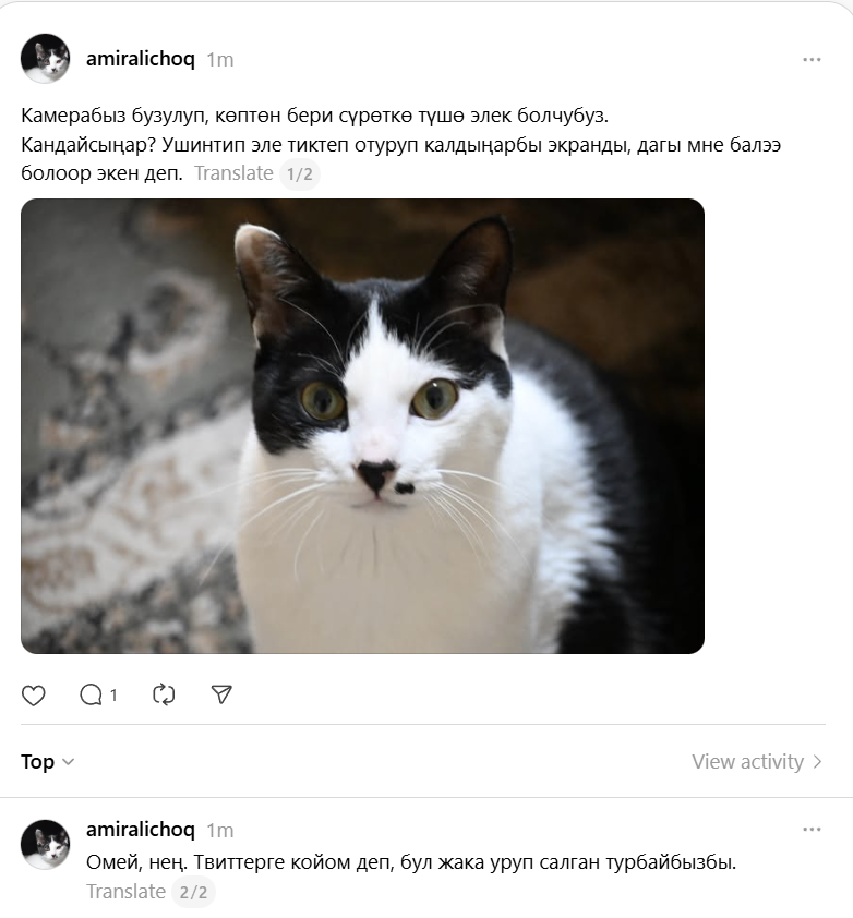 бла kg tweet media