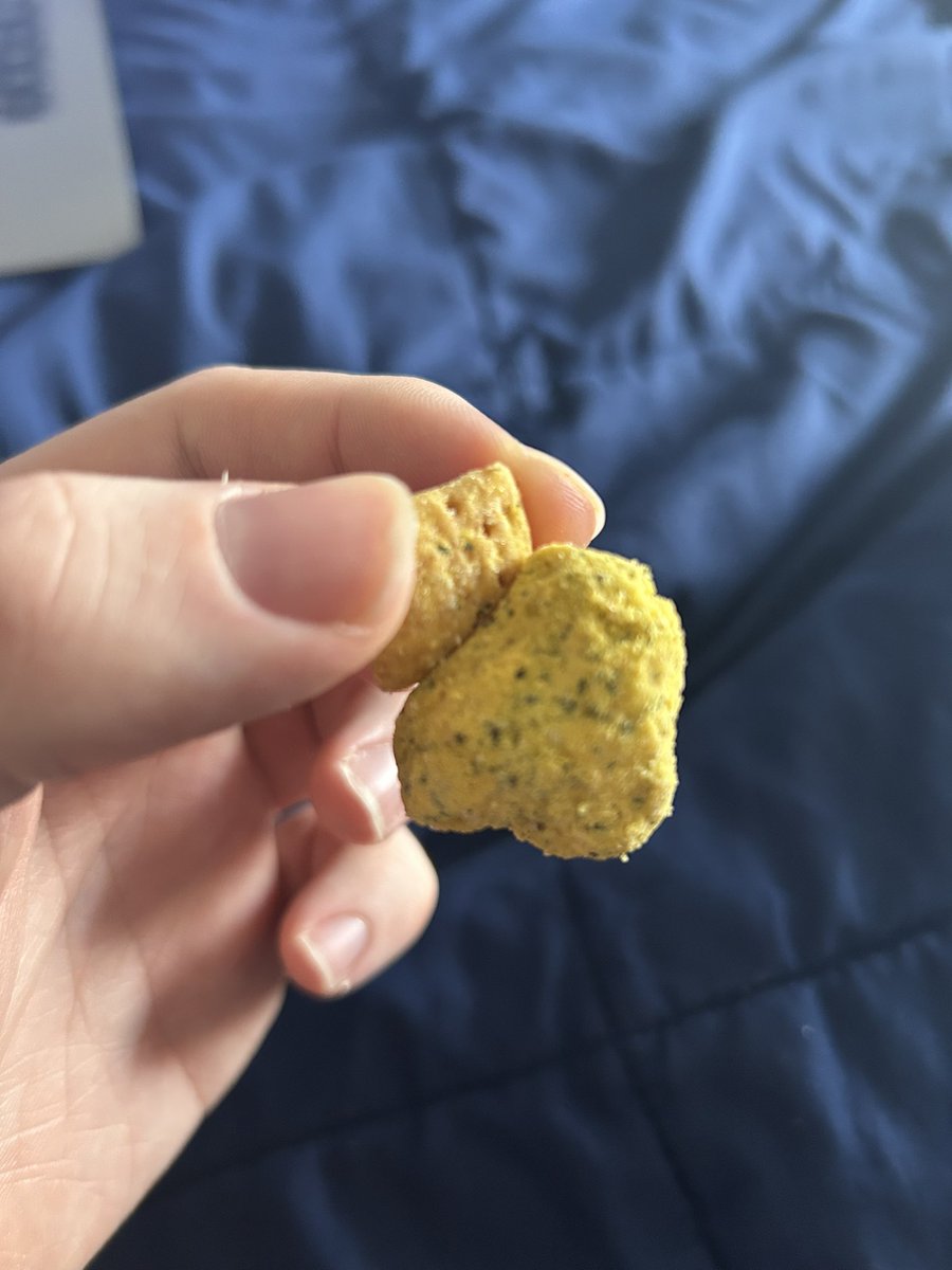 Claws the Dragon tweet media