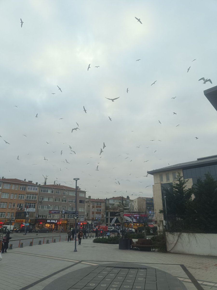 Mehmet ÖZGEN ⚡🩵 (@mhmetozgen) on Twitter photo 