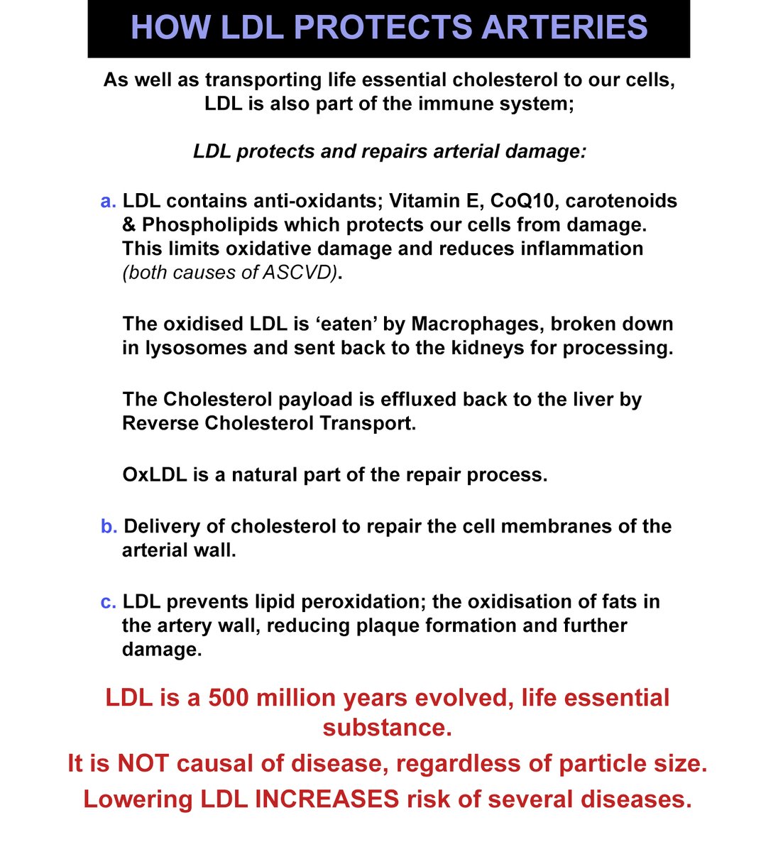 Sunny Day tweet media