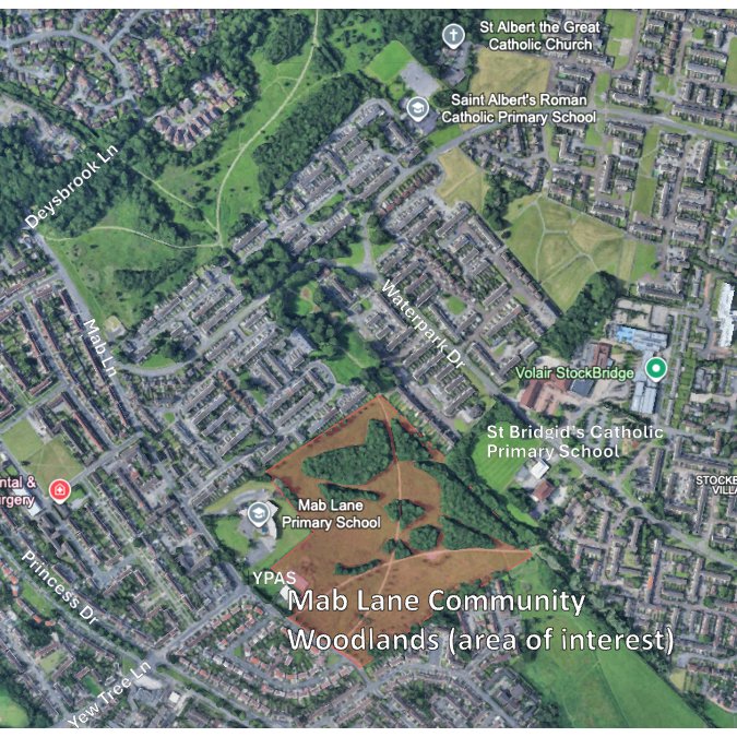 Liverpool Parks tweet media