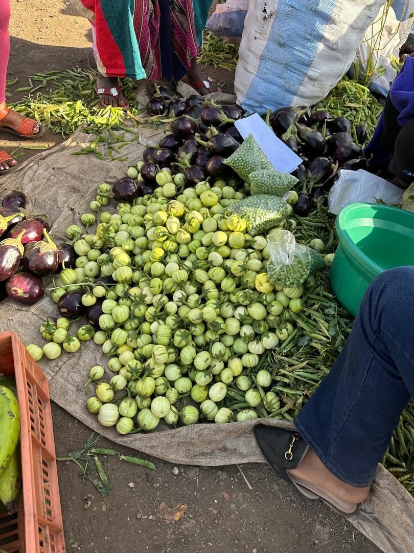 KarisAgro's tweet photo. Market mornings 🌱
Fresh produce, real negotiations, fast price shifts. Rainfall, harvest timing, and transport still drive the trade.

#AgriTrade #FarmToMarket #KarisAgro https://t.co/ZMn8mlUOmd