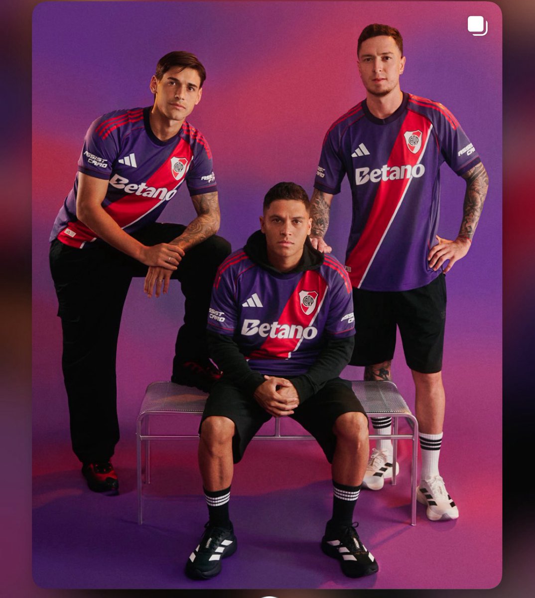 elisabeth stigar tweet media