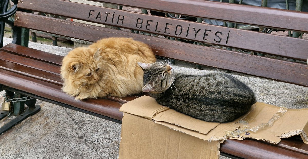 garfield ve arkadaşı