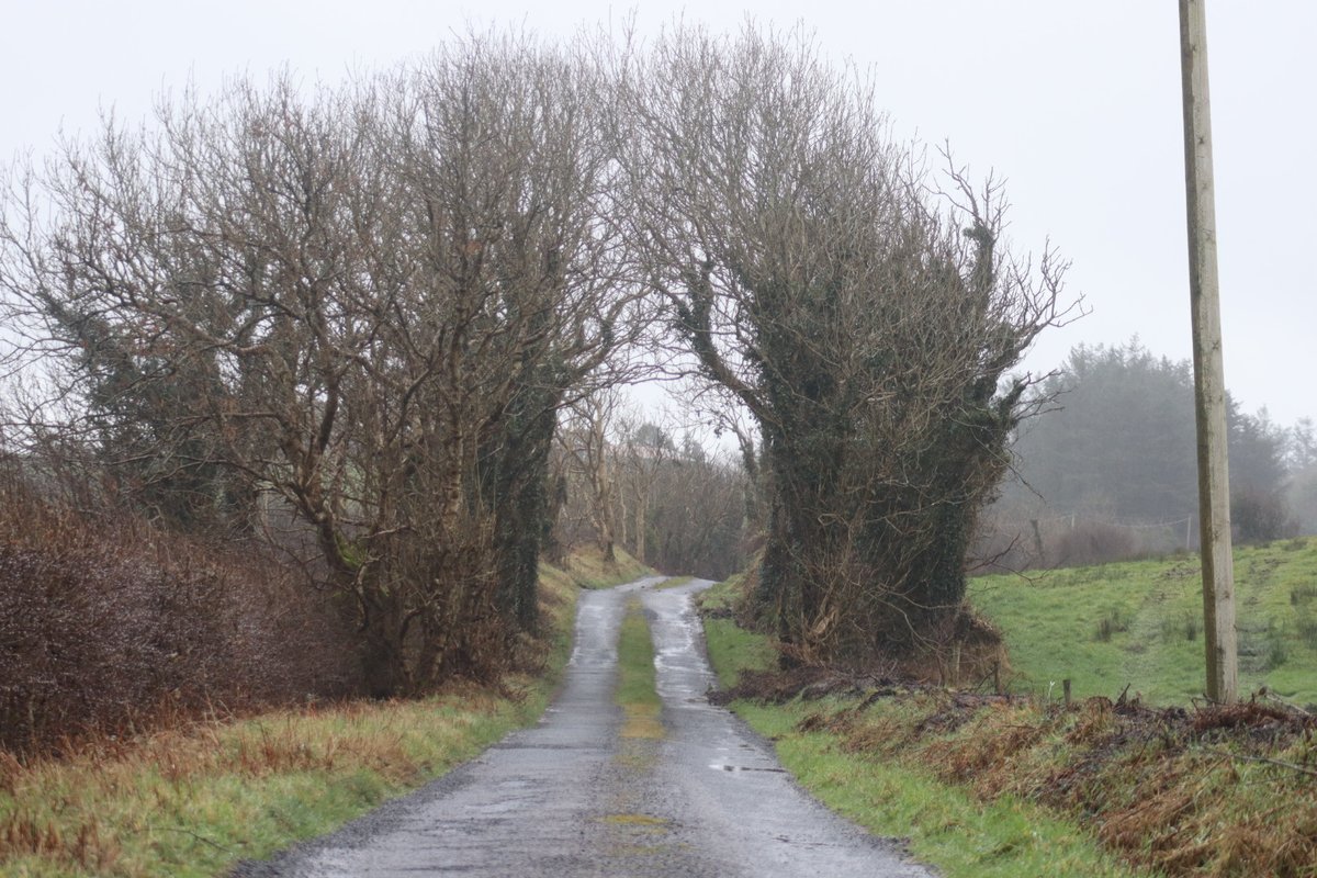 BDuffma's tweet image. #Clare #Burren #100daysofwalking 🟡🔵🖤🤍💚💛  ⚪️⚫️