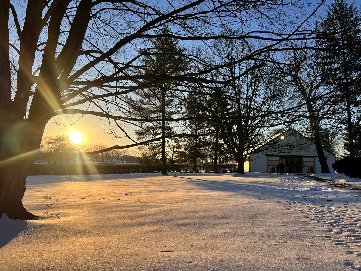 claibornefarm's tweet photo. Beautiful day to open the shed. Breeding season 2026 is officially underway! https://t.co/T6m2Guf5N2