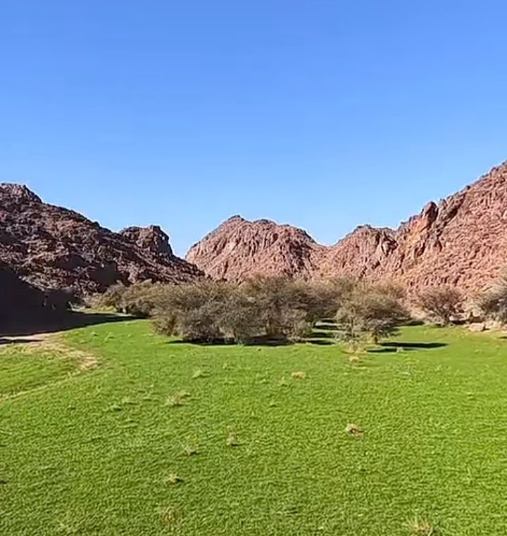 مع غروب شمس هذا اليوم :
اللهم اجعل لنا نورا يضي قلوبنا، ويرسم للنجاح طريقا