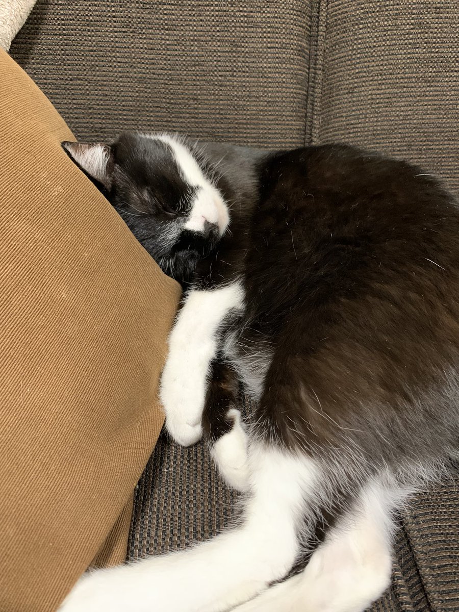 さっちゃん (@toshiakisan1127) / Posts / X