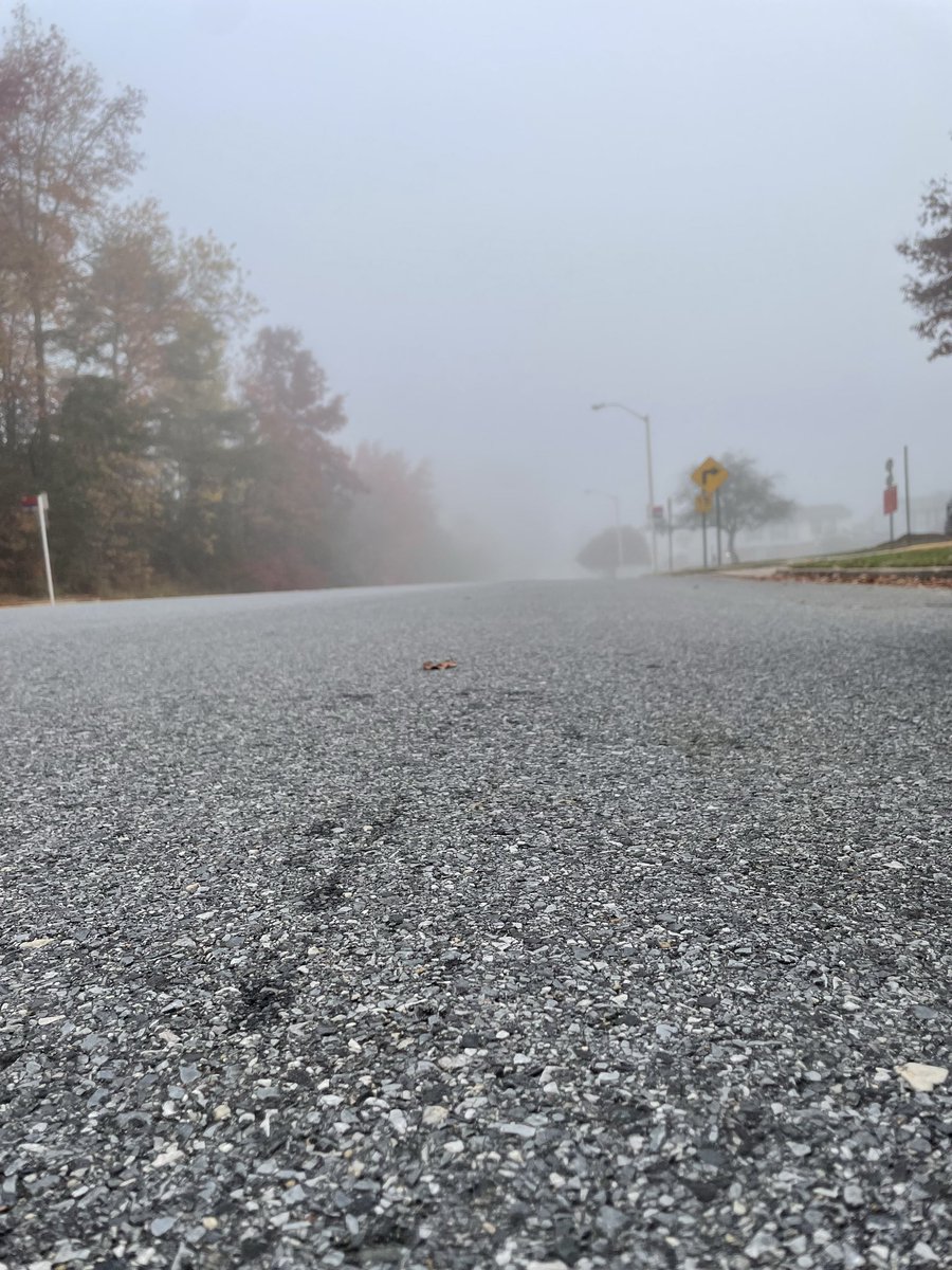 RipplePunks CTO tweet media