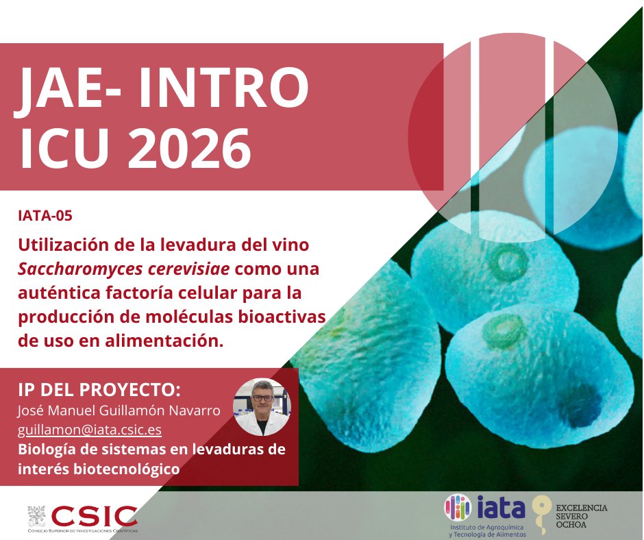 IATA CSIC tweet media