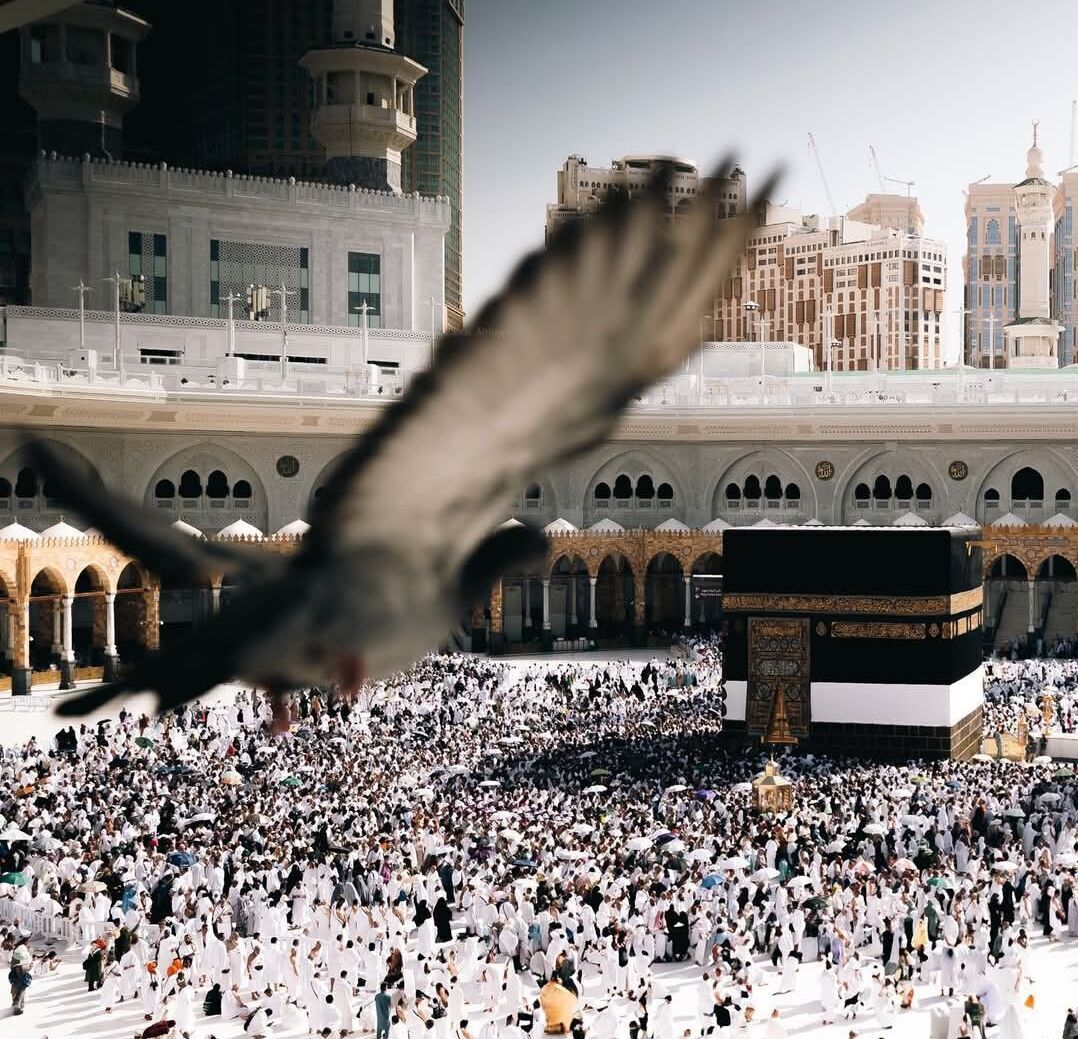 julaibib (@julaibib18) on Twitter photo 