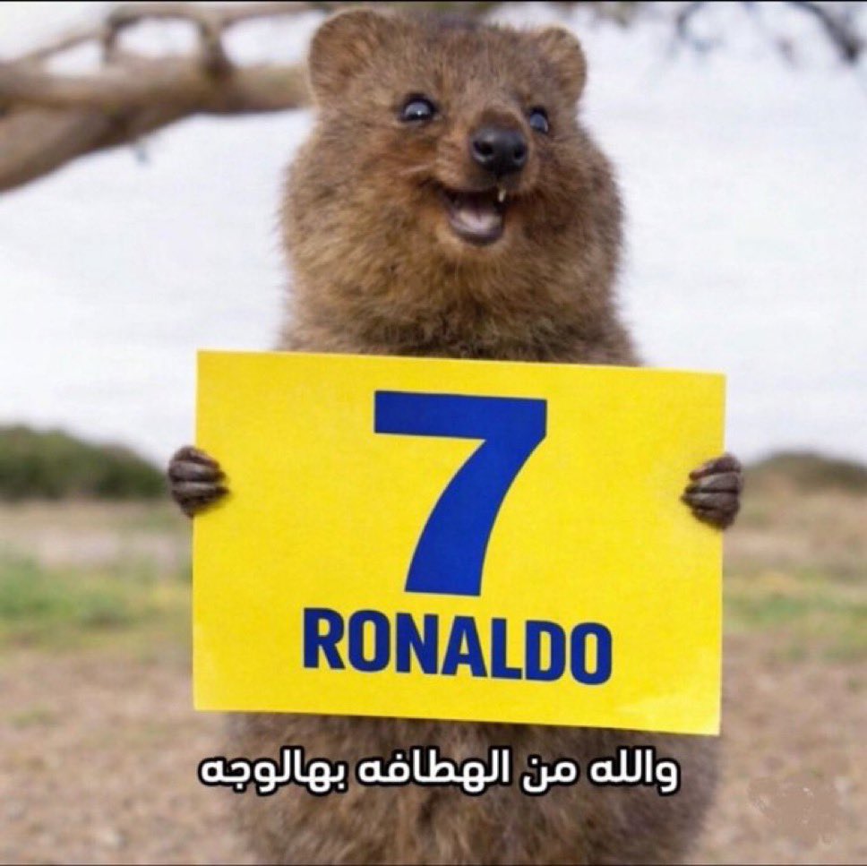  ‏ ‏﮼محمد tweet media