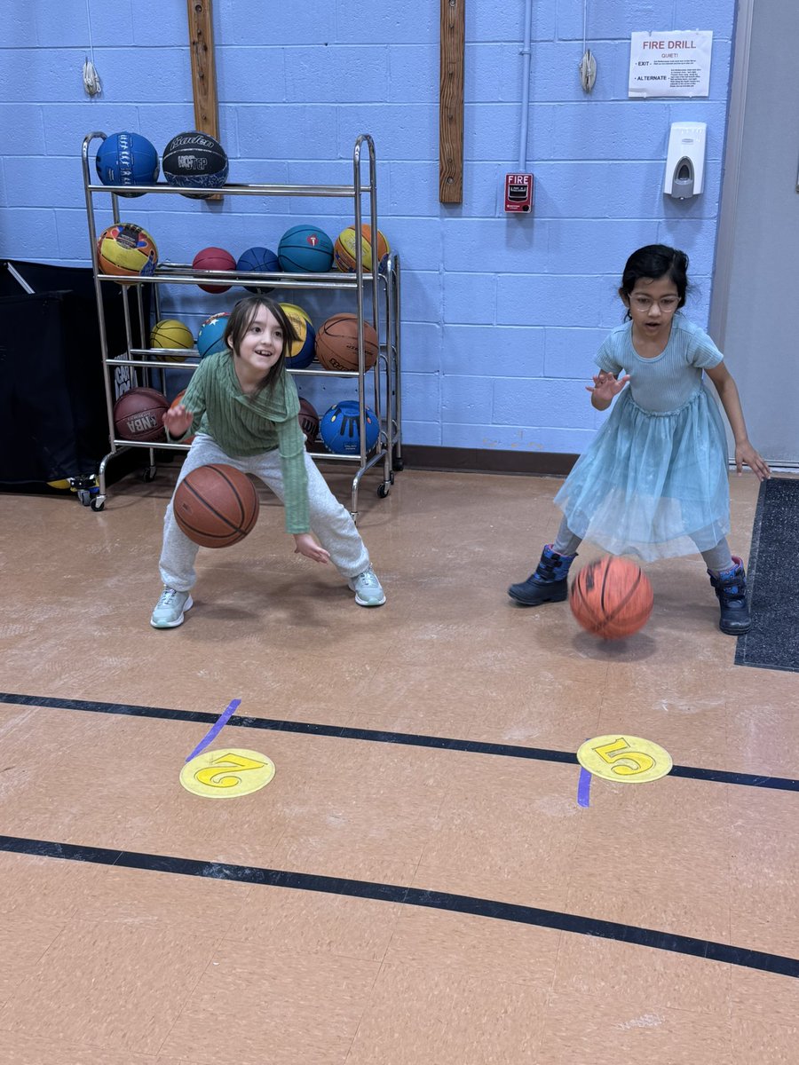 Rob Miele tweet media