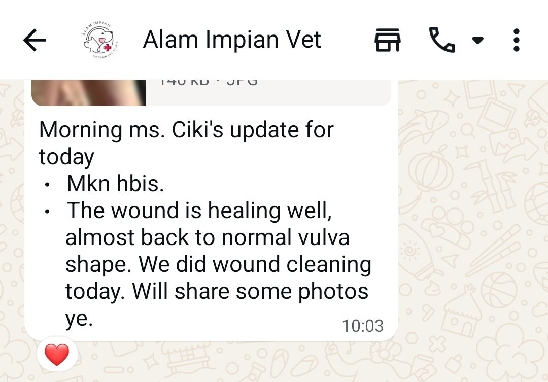 LindaElleHafiza's tweet photo. @AimanAirin2 @airienaszli @crazycatmakcik @fatyhax @FiskaYenitaFK_ @hannnybunnyyy @hazhmh @ianyumeow @itsybitsymin @ketengahketepi @ManjitSinghG5 @meeayusri @ninashakirax Update Ciki 4 Feb. https://t.co/3pwBPYn5HS