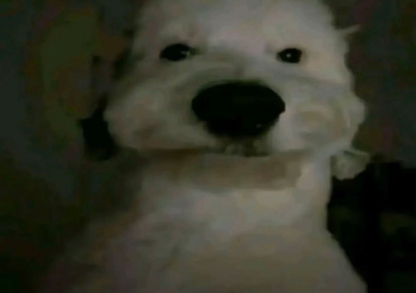 vace out tweet media