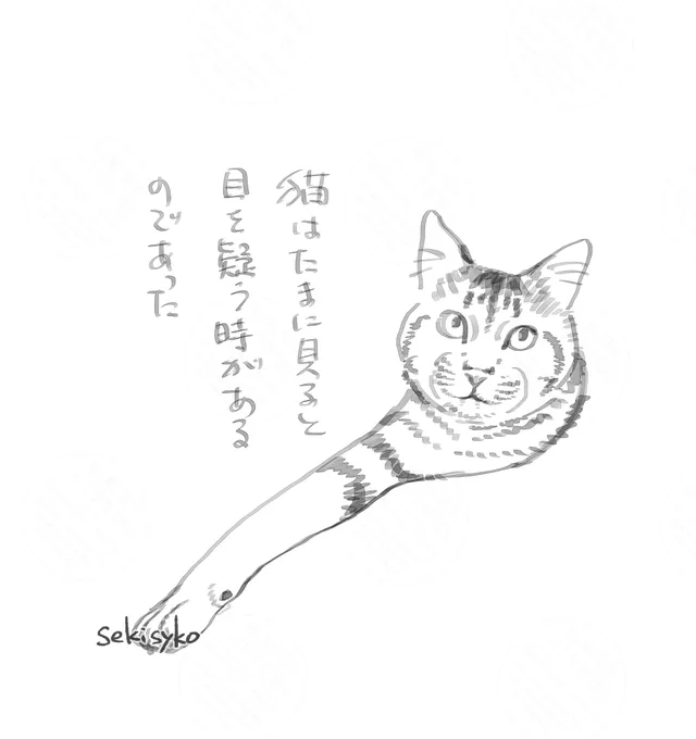 雑日記(右手)
昔飼ってた犬はいつも犬だったんだけど猫はたまに「!?」みたいな時があるな 