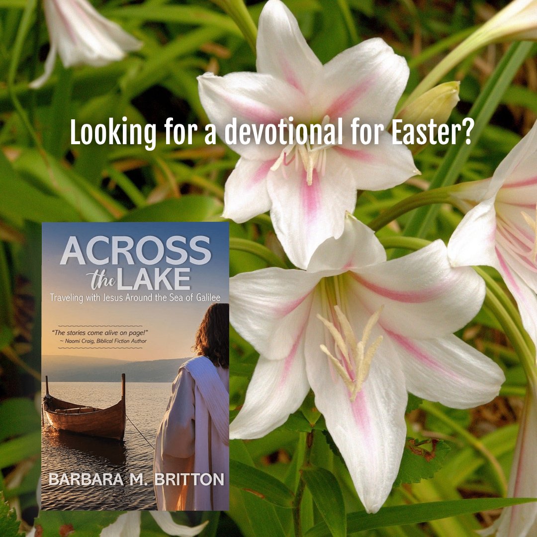 Are you looking for a devotional for Lent/Easter?
Travel with Jesus around the Sea of Galilee.
#Devotional #Lent #readingcommunity #NewRelease
amazon.com/Across-Lake-Tr…