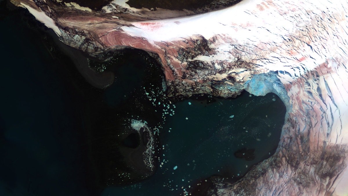 Alejandro Román tweet media