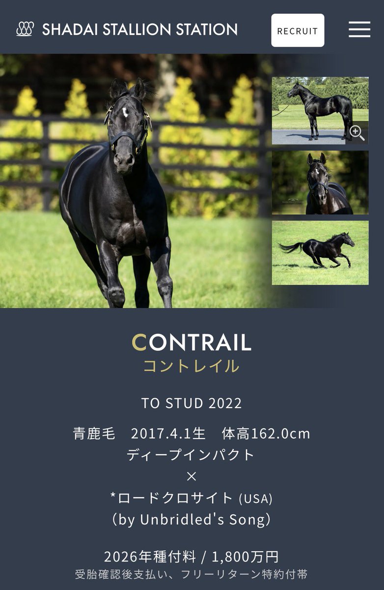 ffpchan's tweet photo. 永遠の推し。今年も応援しております🐎🙏🏻 https://t.co/yO3nzvIbCa