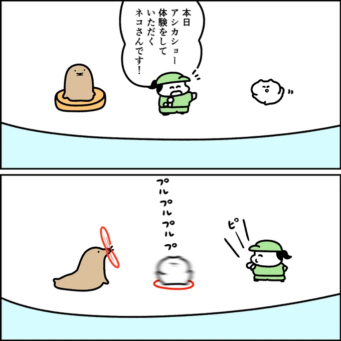 アシカショー体験会 