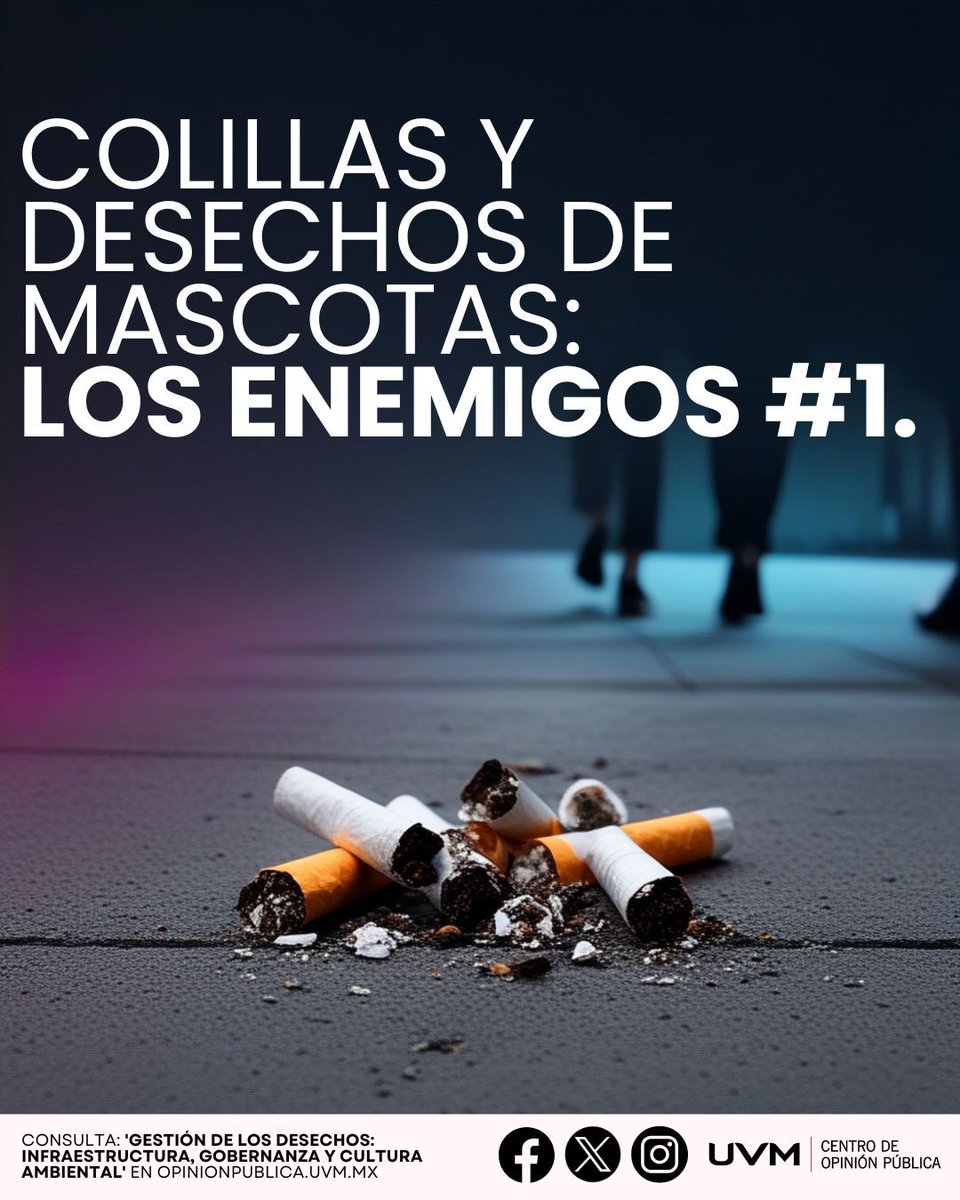 🚬 En 2025, observamos hábitos que dañan nuestro entorno: 87% nota frecuentemente que se tiran colillas en la vía pública y un 84% reporta que los dueños de mascotas no recogen sus heces. 

Conoce más: opinionpublica.uvm.mx/estudios/gesti…