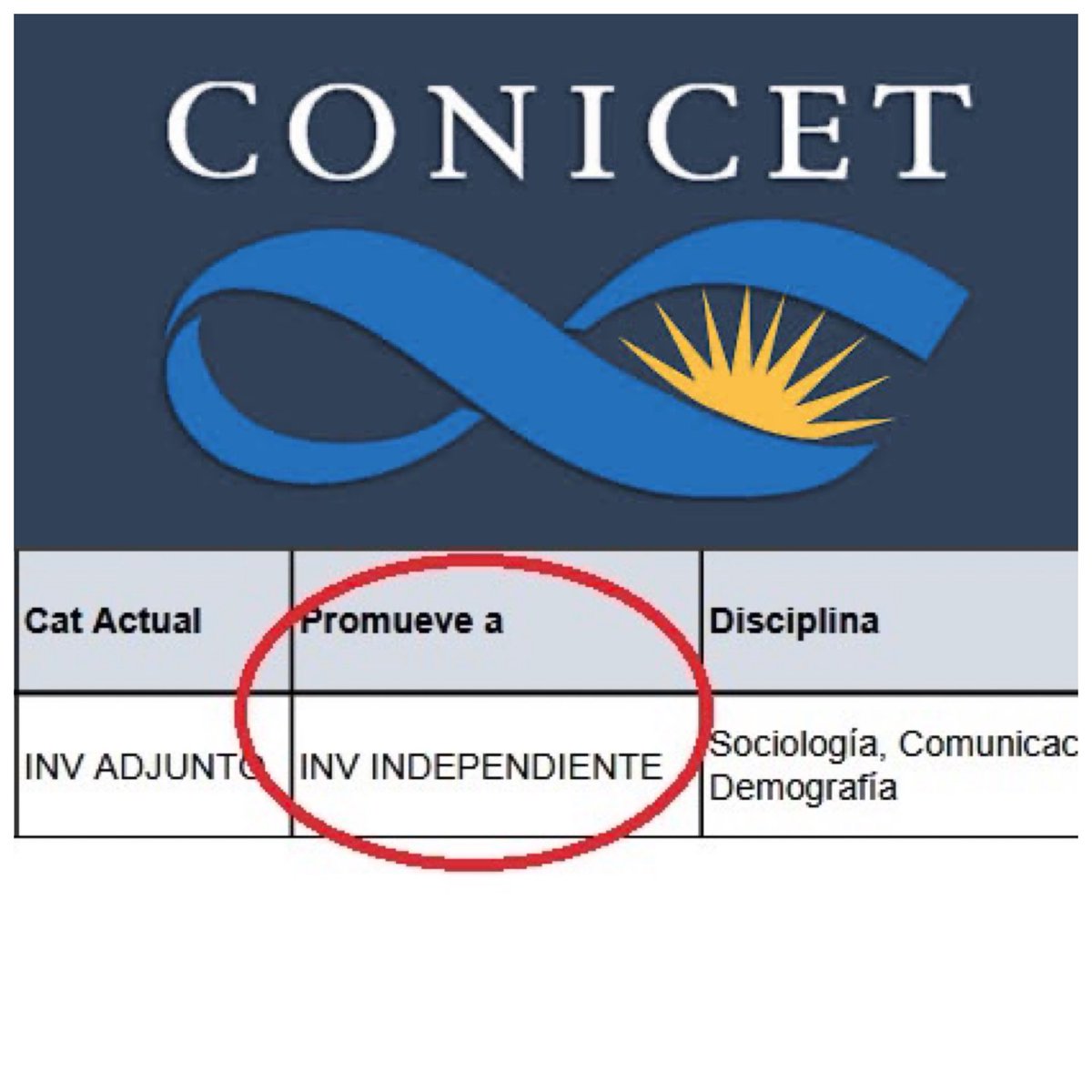 Bernadette Califano 💚 tweet media