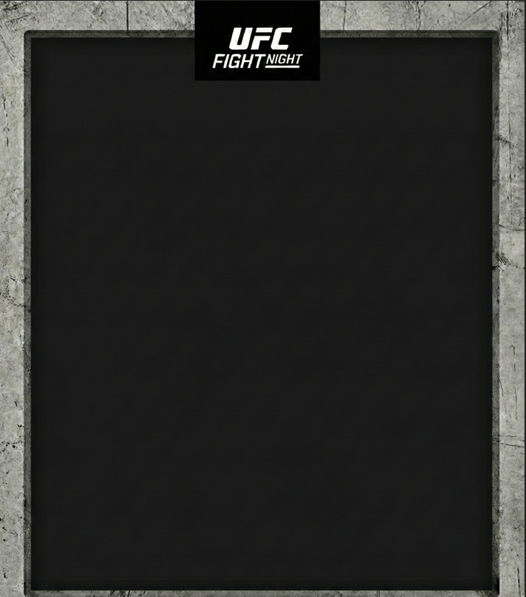 ufc'de bu hafta sonu gerçekleşecek maçlar