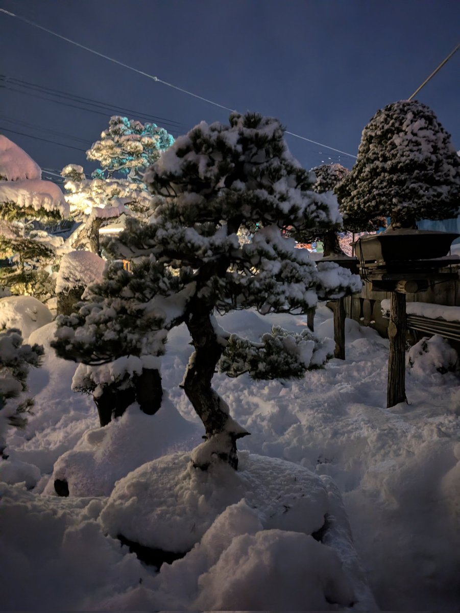 瑞祥展に出品した木も雪まみれ