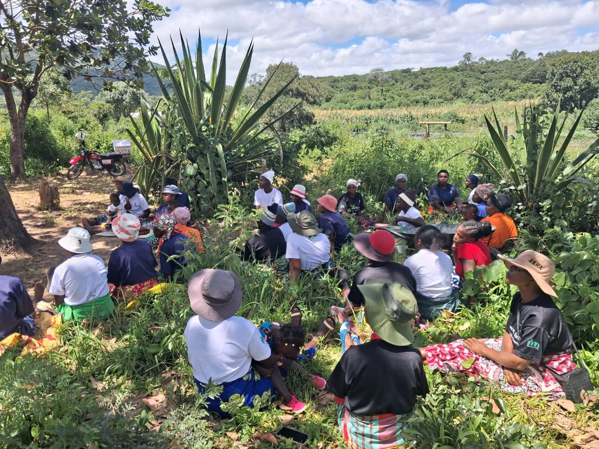 Climate Action Coalition of Zimbabwe tweet media