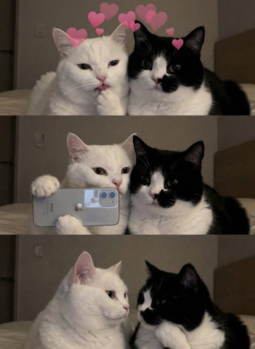 𝗟𝗲𝗲𝗻 (@1leio) on Twitter photo 