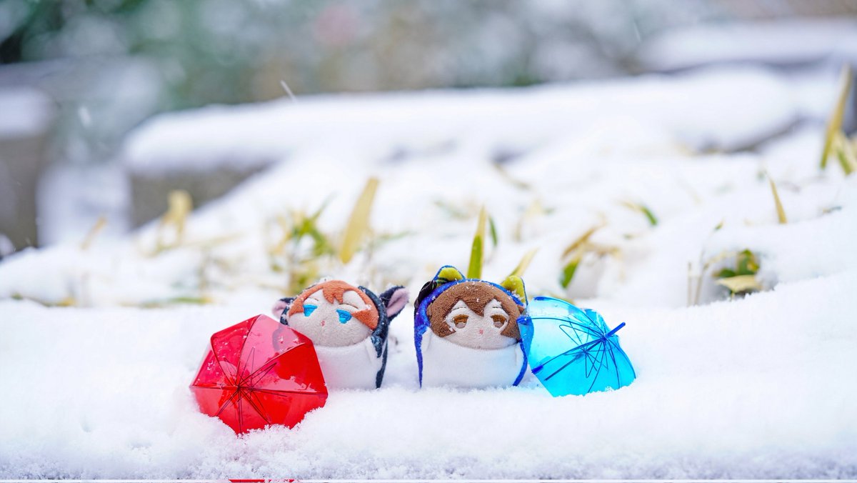 2/8 雪の写真📸一眼レフ撮影

ミニもちとちゅや・だざさん
このときけっこう雪降ってた

#ファインダー越しの私の世界