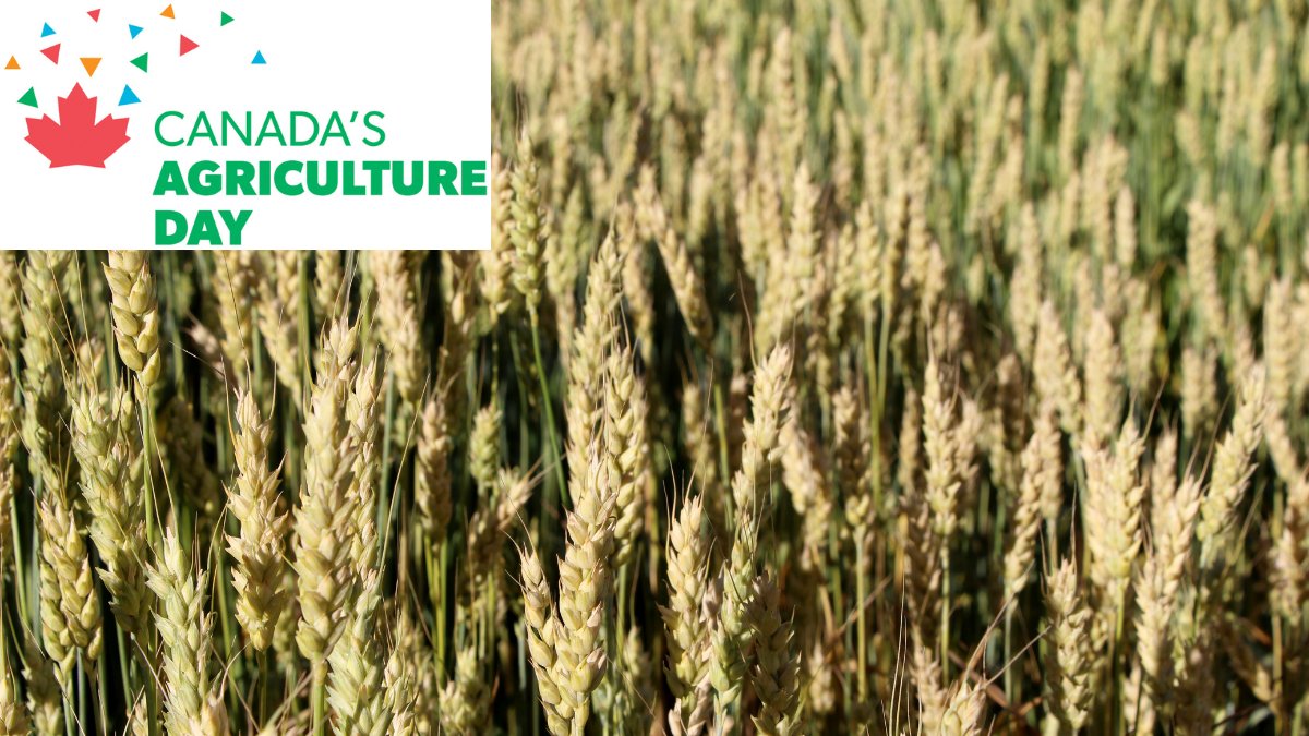 Thank you to all the farmers in our watershed and across Canada for the work that you do every day for our communities and way of life! Happy #CdnAgDay! 🌽🍴