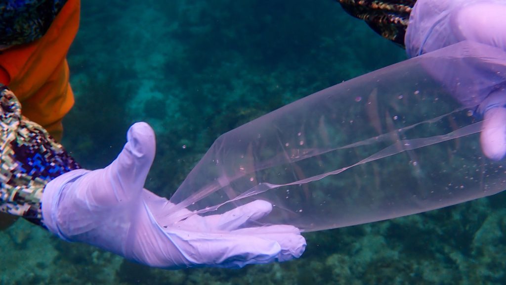 NOAA Florida Keys NMS tweet media