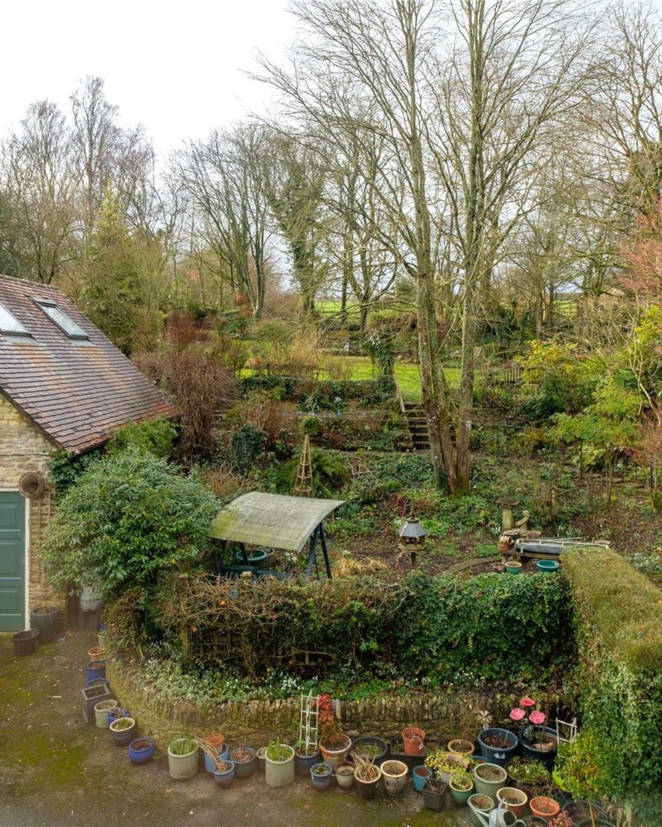 Jackson-Stops Sherborne tweet media