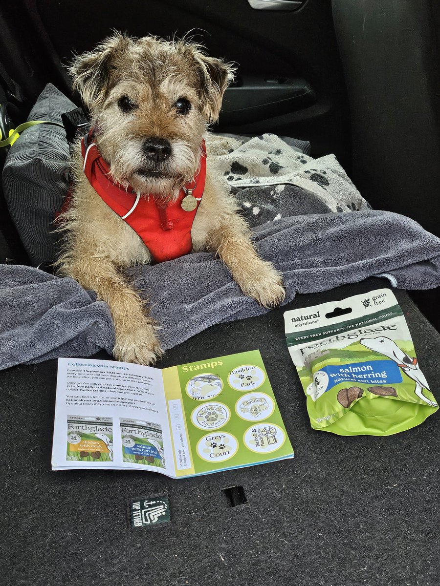 Dame Ro the border tweet media