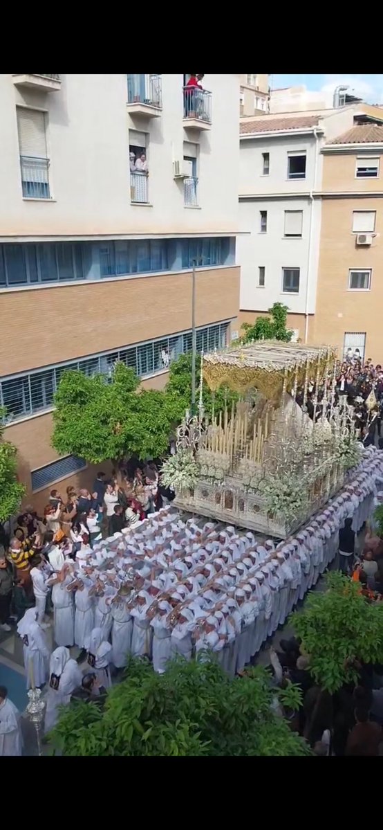 49 Dias para un nuevo Martes Santo glorioso!
El trono de Maria stma del Rocío se dispone a subir altozano a sones de “el amor de tu dulce mirada”

#SemanaSanta #SemanaSantaMálaga
#Cofrades #Devoción #Málaga